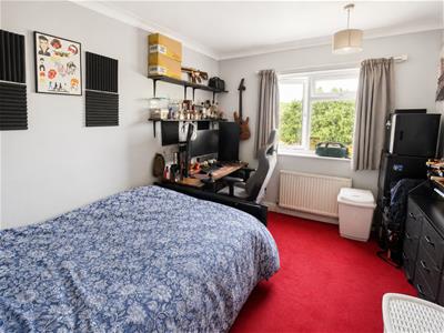 Picture 11
